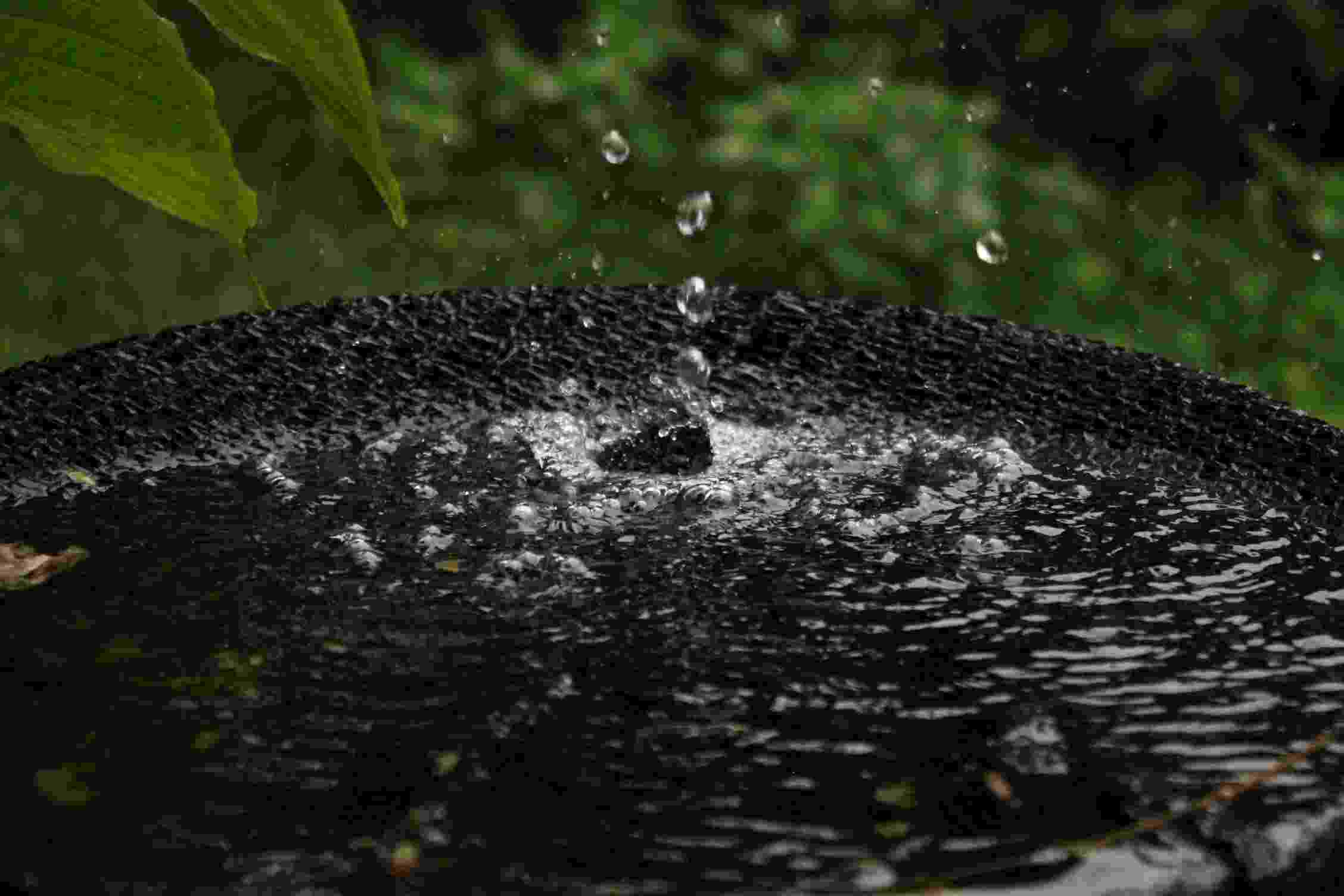 Water droplets fall onto a dark coloured tub of water surrounded by green foliage, sending ripples across the surface